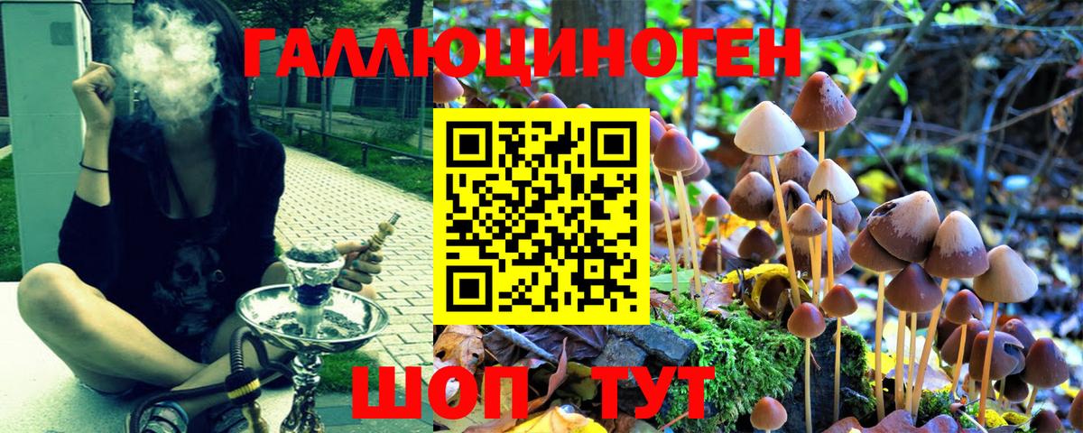 Псилоцибиновые грибы мухоморы Черкесск