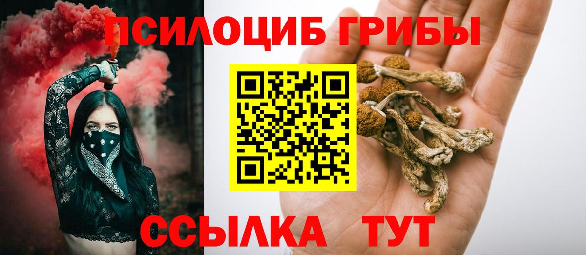 где купить наркоту  Галлюциногенные грибы ЛСД  Вход с VPN  Черкесск 